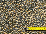 Leopard Honcho